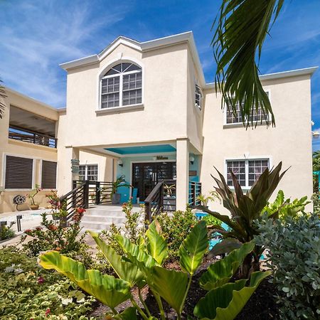 Bed and Breakfast Hidden Gem Barbados Крайст-Черч Екстер'єр фото